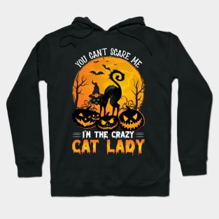 Crazy cat lady Hoodie